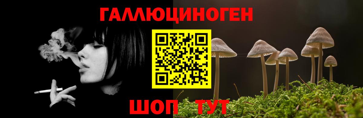 Конаково  Галлюциногенные грибы Cubensis  Вход с VPN 